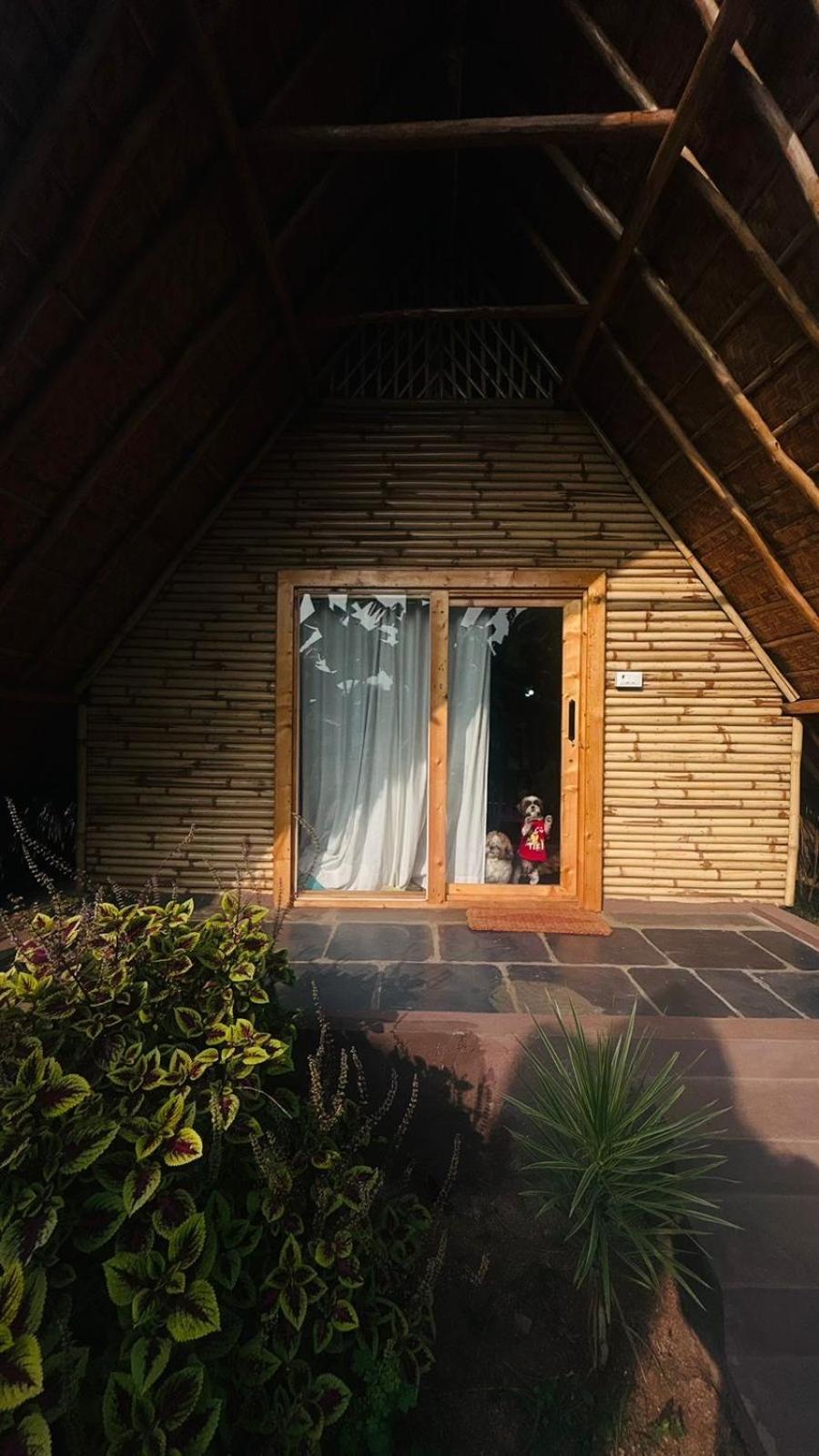 Tropical Hampi Hotel ภายนอก รูปภาพ